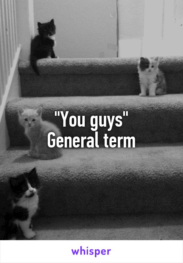 "You guys"
General term