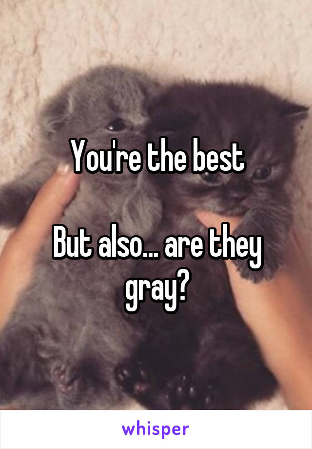 You're the best

But also... are they gray?