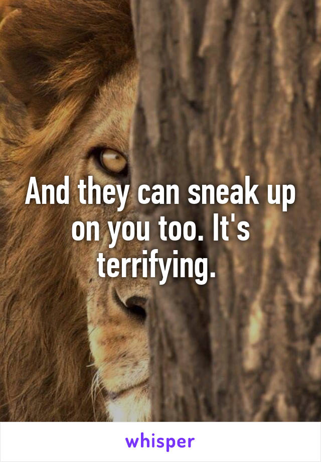 And they can sneak up on you too. It's terrifying. 