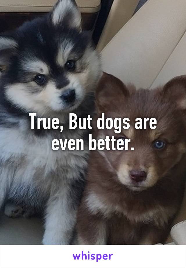 True, But dogs are even better.