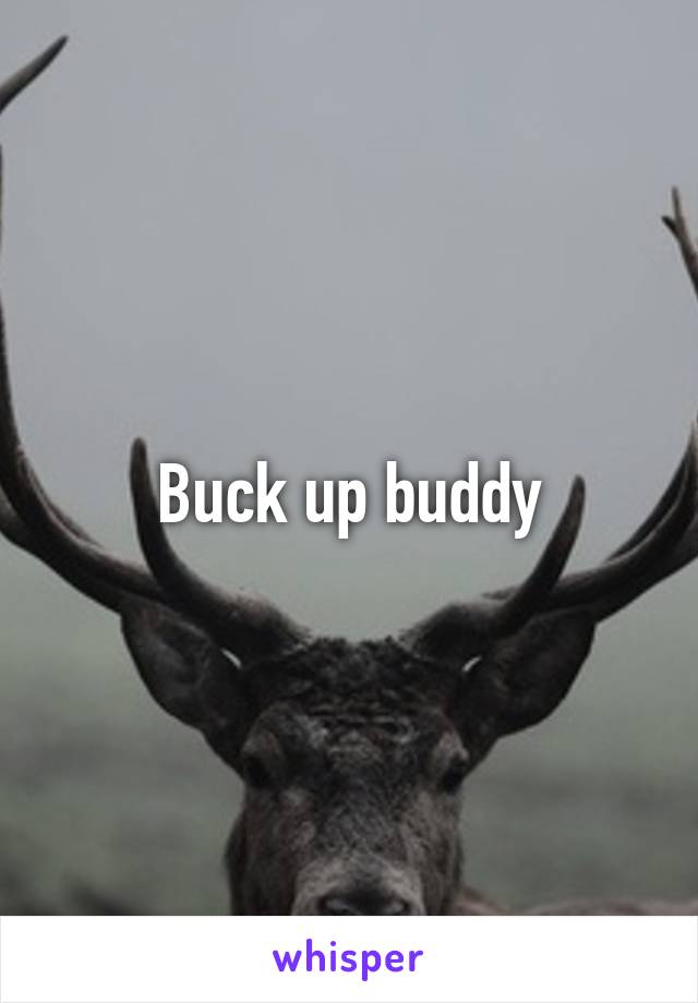 Buck up buddy