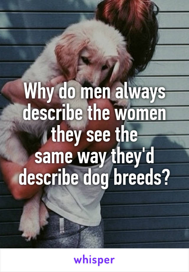 Why do men always describe the women they see the
same way they'd describe dog breeds?