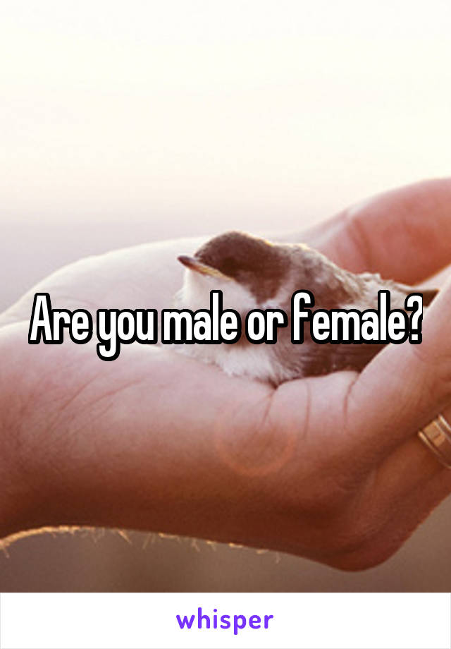 Are you male or female?