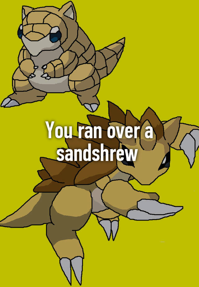 you-ran-over-a-sandshrew