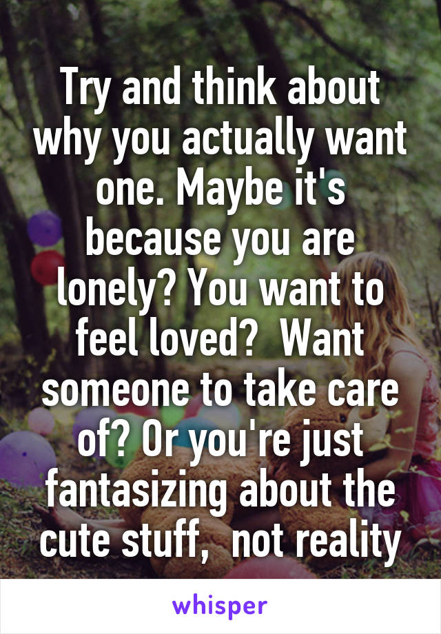 Try and think about why you actually want one. Maybe it's because you are lonely? You want to feel loved?  Want someone to take care of? Or you're just fantasizing about the cute stuff,  not reality