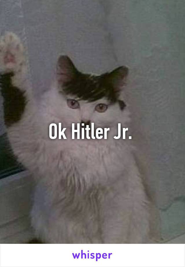 Ok Hitler Jr. 