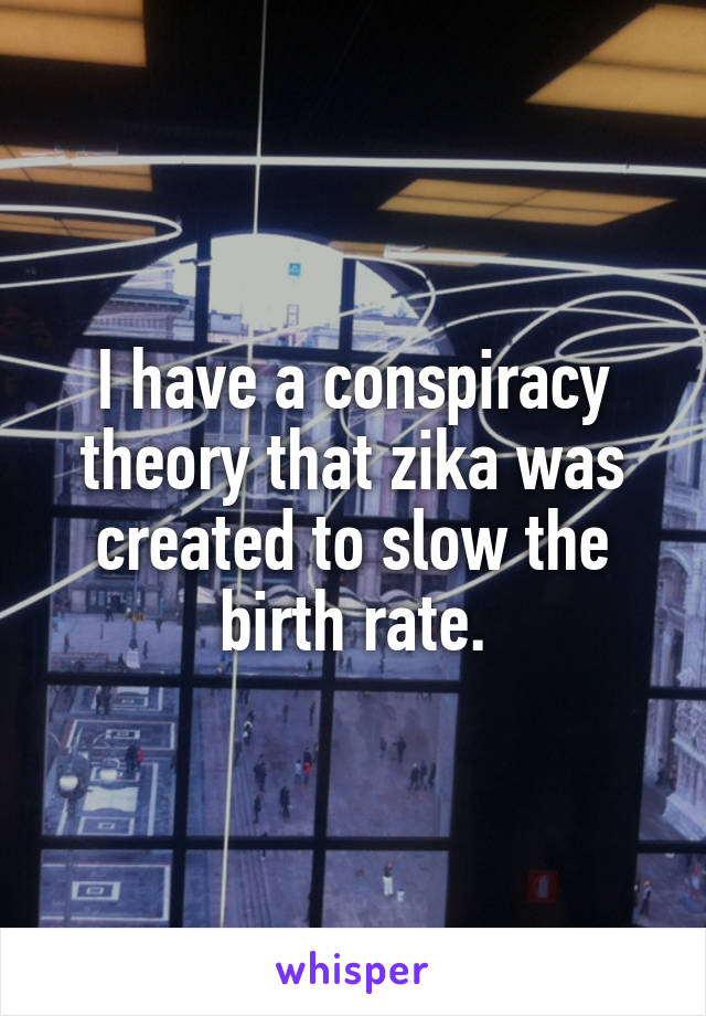 I have a conspiracy theory that zika was created to slow the birth rate.