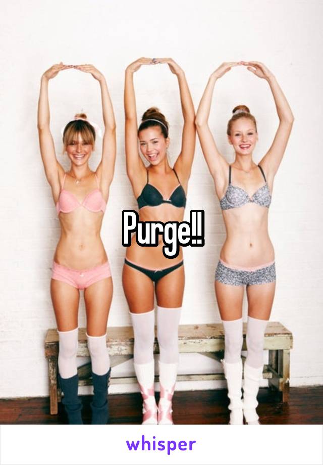 Purge!!