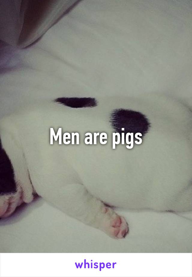 Men are pigs