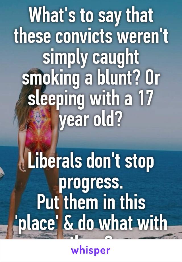 What's to say that these convicts weren't simply caught smoking a blunt? Or sleeping with a 17 year old?

Liberals don't stop progress.
Put them in this 'place' & do what with them?