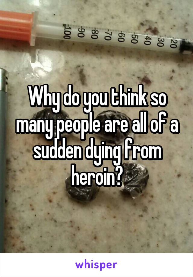 Why do you think so many people are all of a sudden dying from heroin?