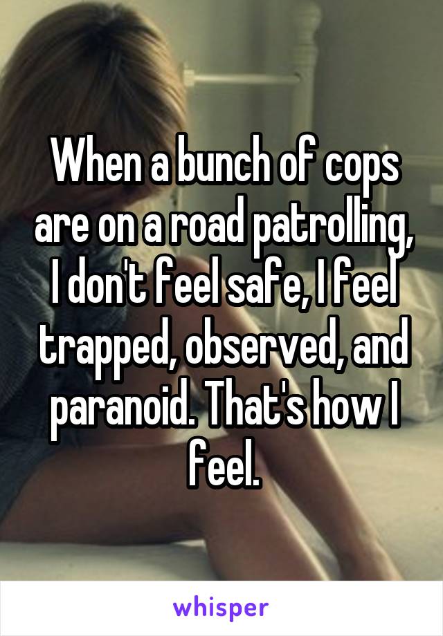 When a bunch of cops are on a road patrolling, I don't feel safe, I feel trapped, observed, and paranoid. That's how I feel.