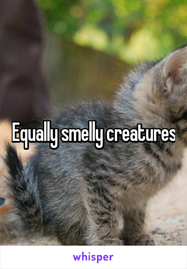 Equally smelly creatures