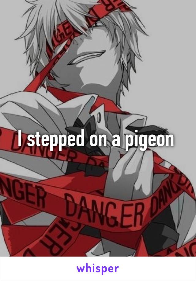 I stepped on a pigeon 