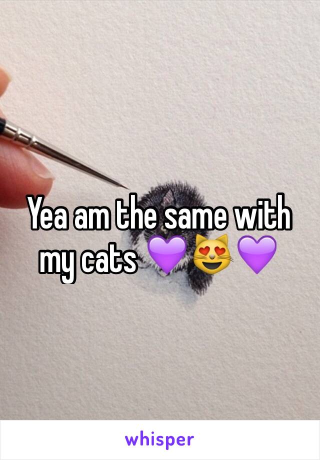 Yea am the same with my cats 💜😻💜