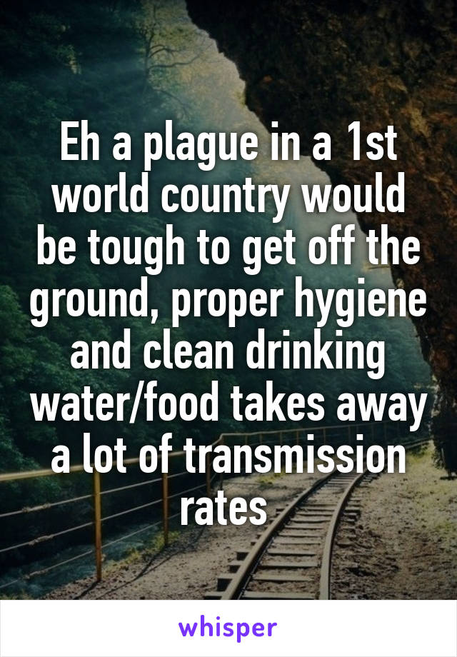 Eh a plague in a 1st world country would be tough to get off the ground, proper hygiene and clean drinking water/food takes away a lot of transmission rates 