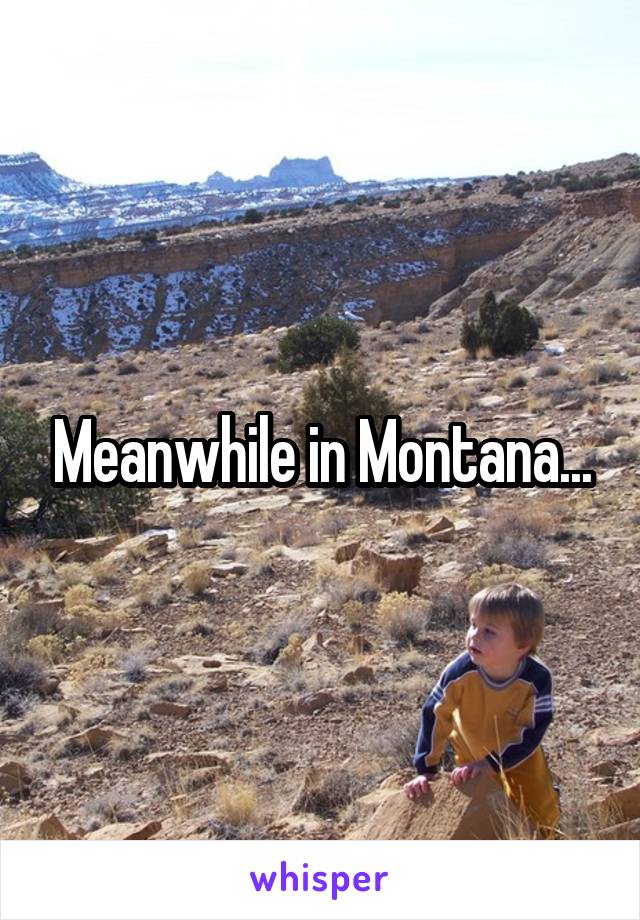 Meanwhile in Montana...