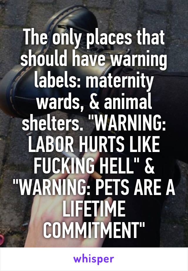 The only places that should have warning labels: maternity wards, & animal shelters. "WARNING: LABOR HURTS LIKE FUCKING HELL" & "WARNING: PETS ARE A LIFETIME COMMITMENT"