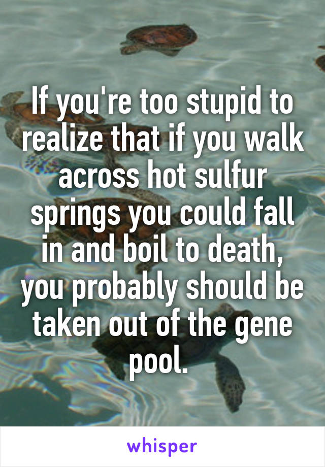 If you're too stupid to realize that if you walk across hot sulfur springs you could fall in and boil to death, you probably should be taken out of the gene pool. 