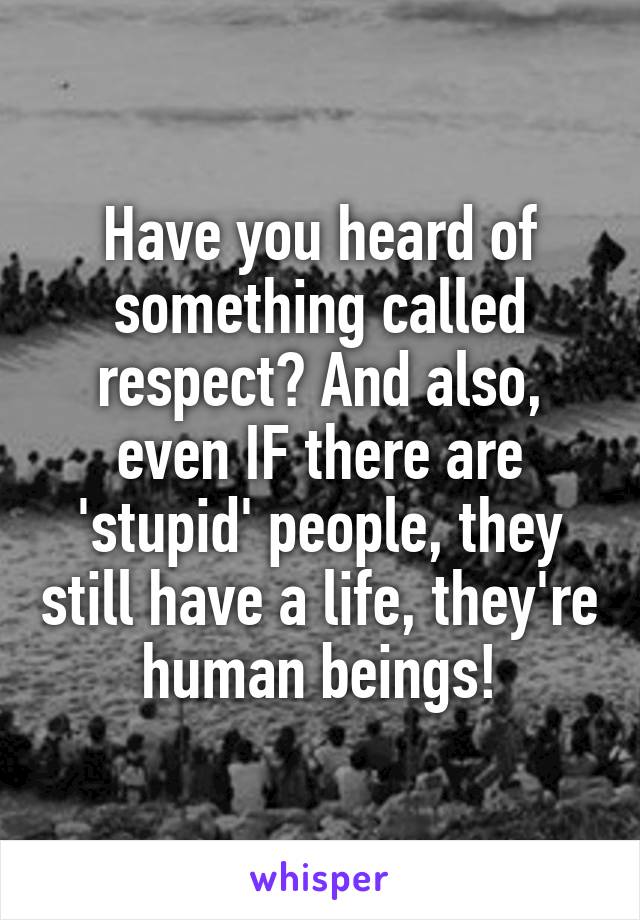 Have you heard of something called respect? And also, even IF there are 'stupid' people, they still have a life, they're human beings!