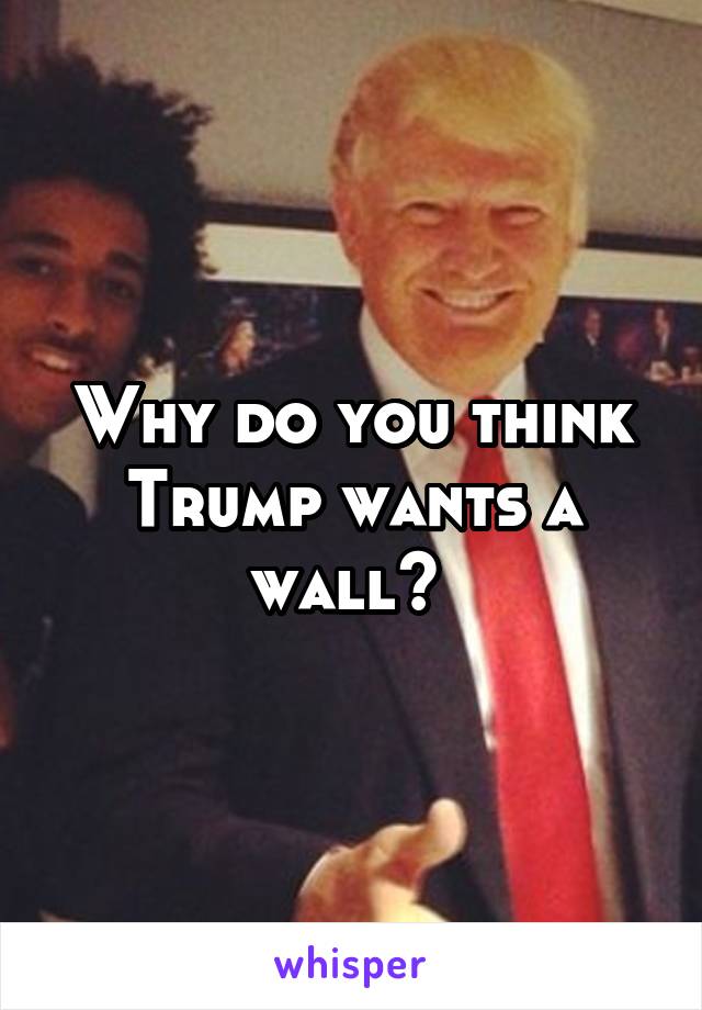 Why do you think Trump wants a wall? 