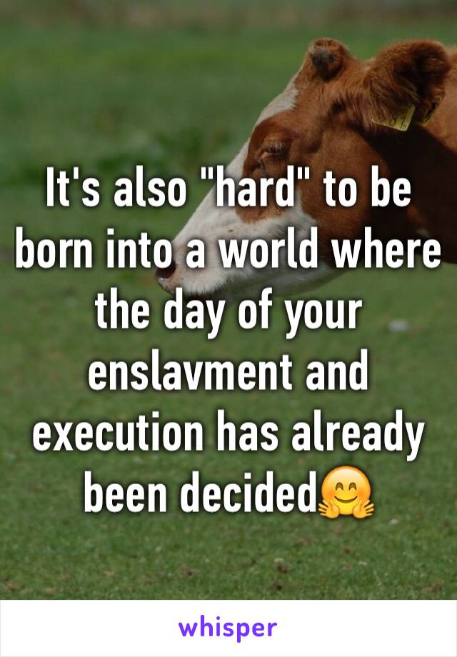 It's also "hard" to be born into a world where the day of your enslavment and execution has already been decided🤗 