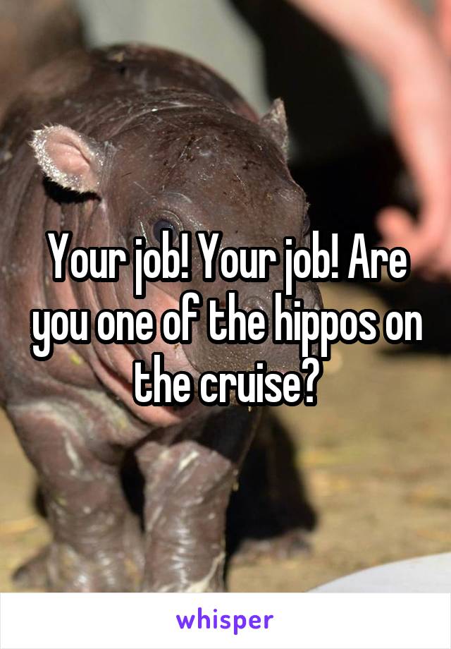 Your job! Your job! Are you one of the hippos on the cruise?