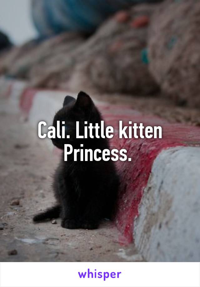 Cali. Little kitten Princess. 