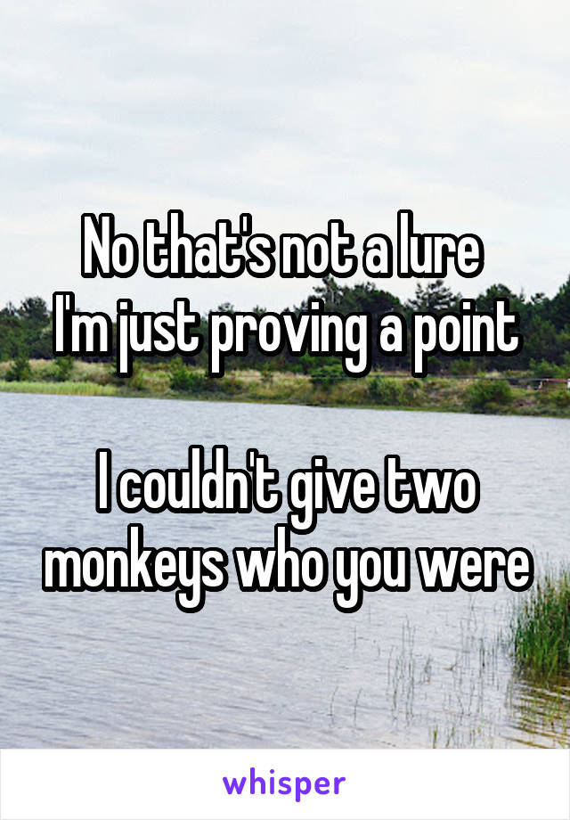 No that's not a lure 
I'm just proving a point 
I couldn't give two monkeys who you were