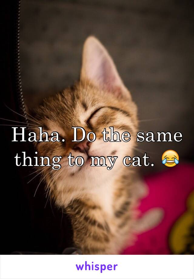 Haha. Do the same thing to my cat. 😂