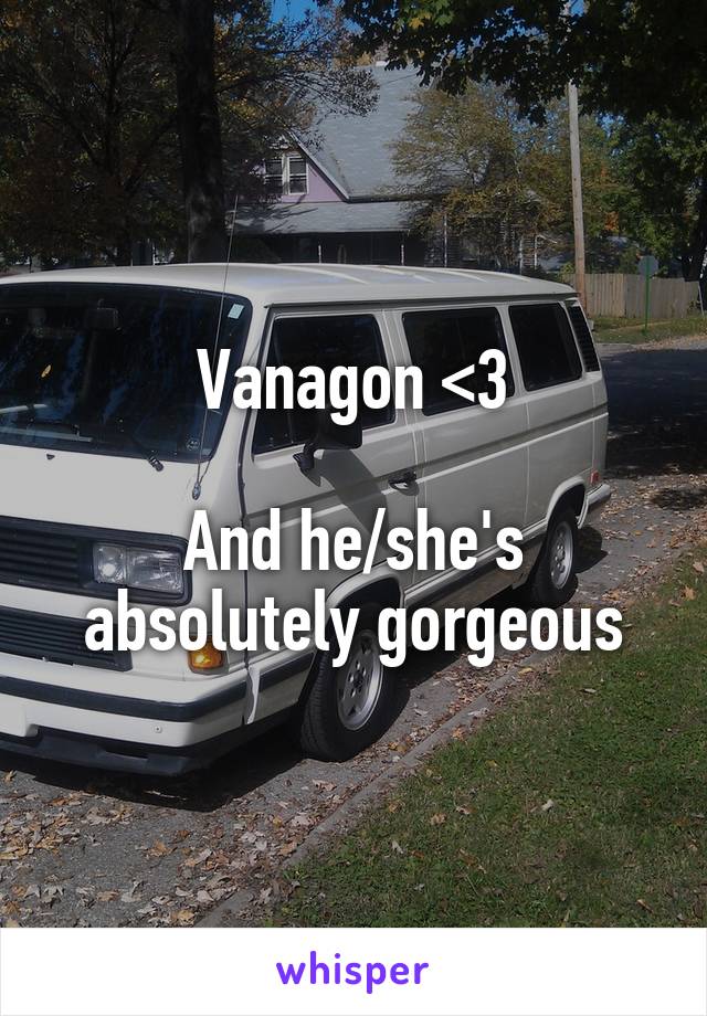 Vanagon <3

And he/she's absolutely gorgeous