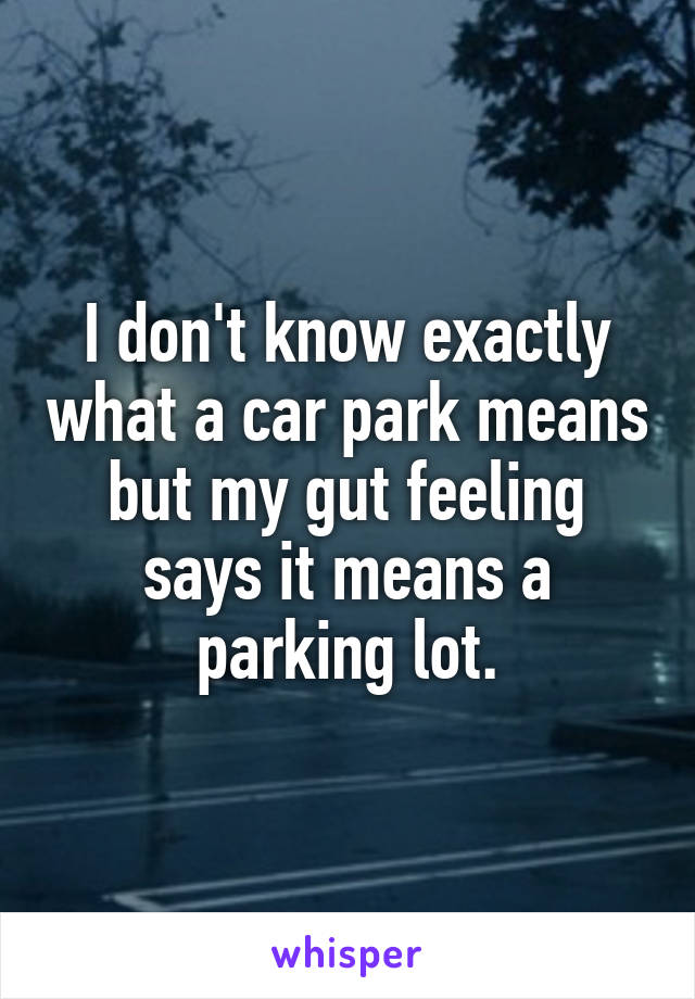I don't know exactly what a car park means but my gut feeling says it means a parking lot.