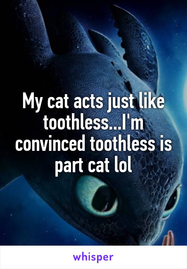My cat acts just like toothless...I'm convinced toothless is part cat lol