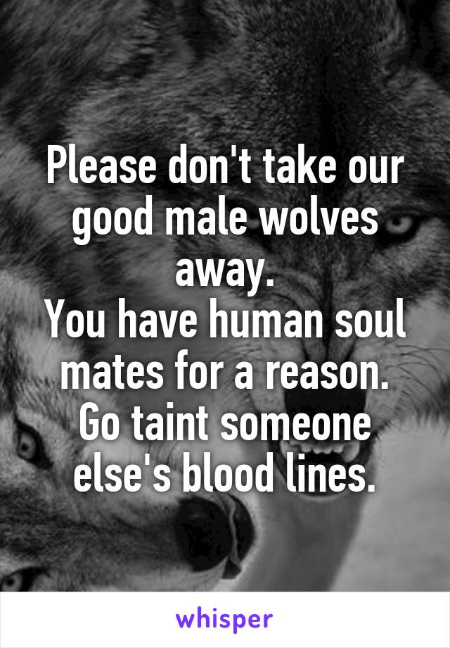 Please don't take our good male wolves away.
You have human soul mates for a reason.
Go taint someone else's blood lines.