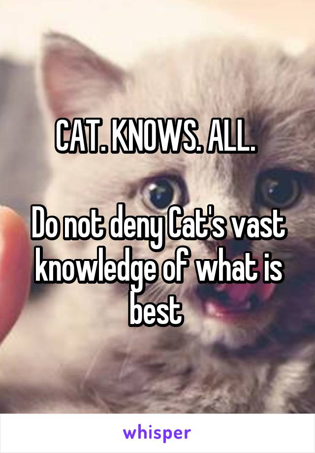 CAT. KNOWS. ALL. 

Do not deny Cat's vast knowledge of what is best 