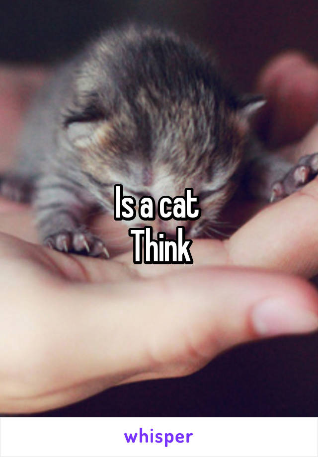 Is a cat 
Think