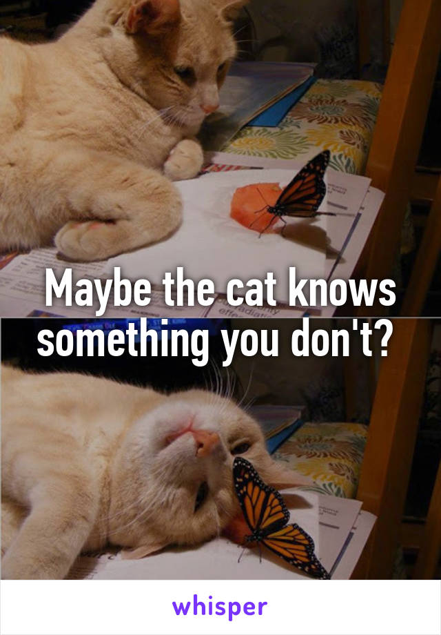 Maybe the cat knows something you don't? 