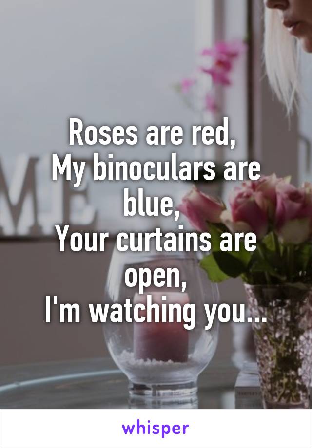 Roses are red, 
My binoculars are blue, 
Your curtains are open,
I'm watching you...