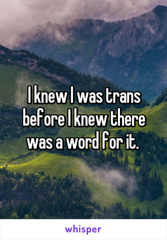 I knew I was trans before I knew there was a word for it. 
