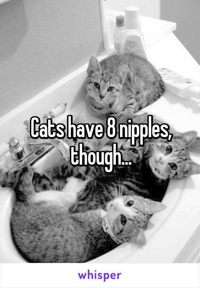 Cats have 8 nipples, though...