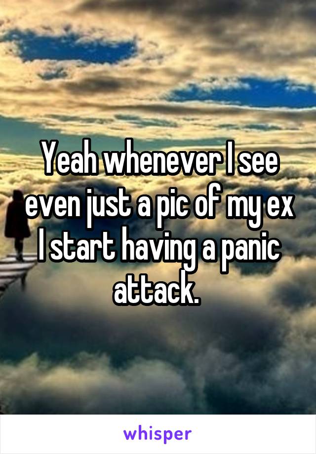 Yeah whenever I see even just a pic of my ex I start having a panic attack. 