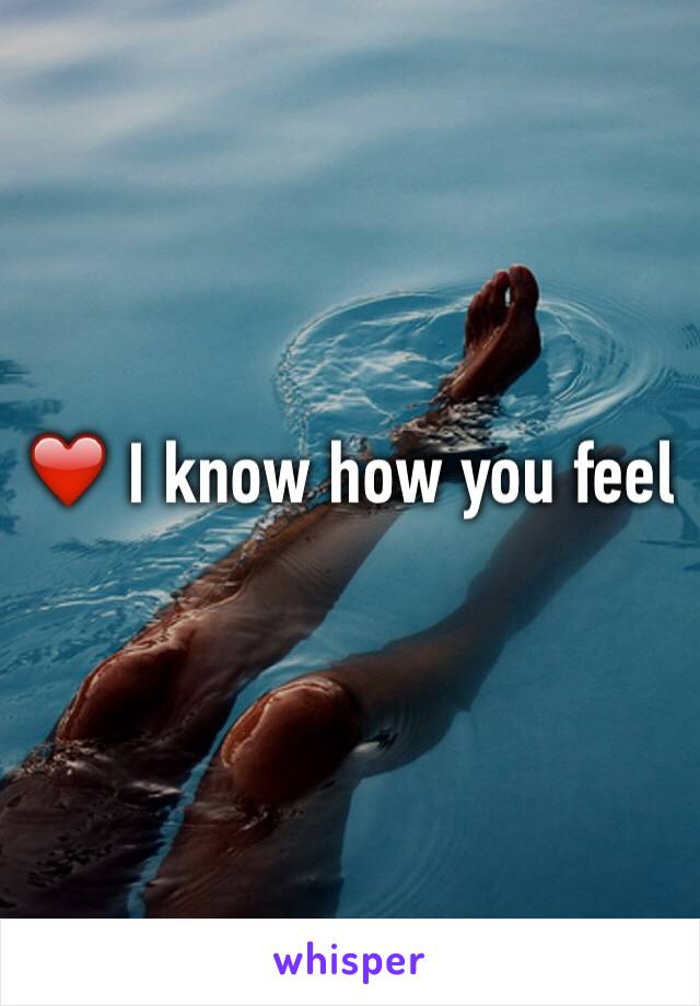 ❤️ I know how you feel