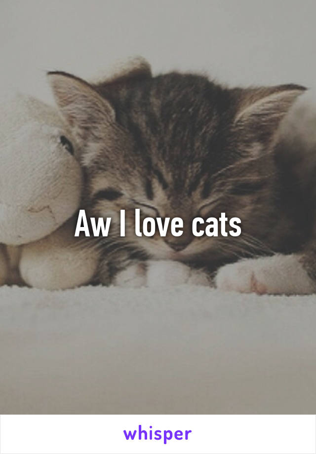 Aw I love cats