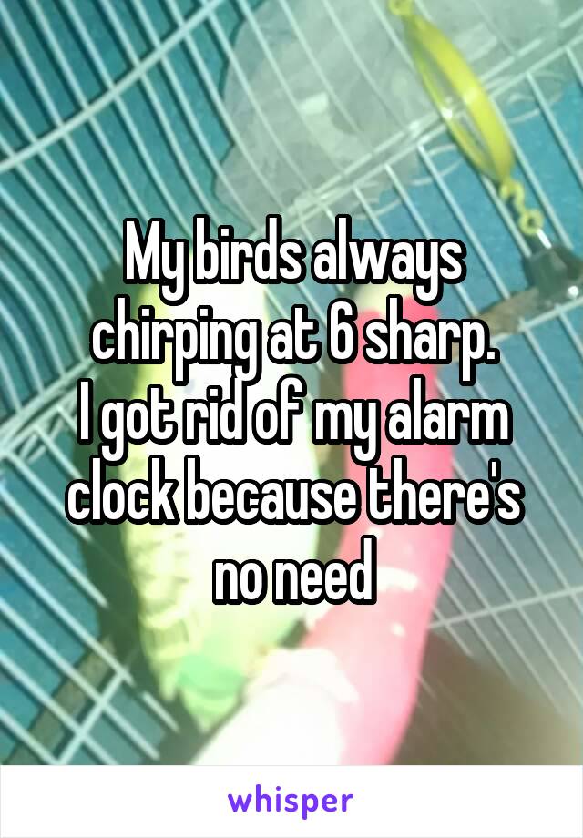 My birds always chirping at 6 sharp.
I got rid of my alarm clock because there's no need