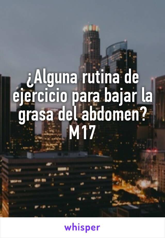 ¿Alguna rutina de ejercicio para bajar la grasa del abdomen?
M17