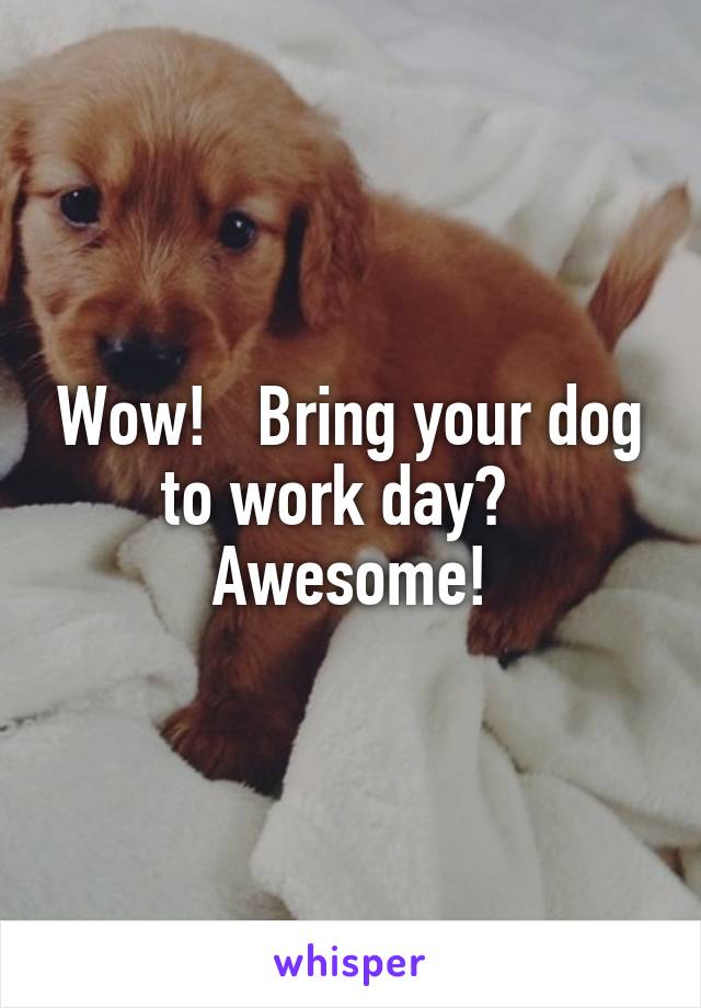 Wow!   Bring your dog to work day?   Awesome!