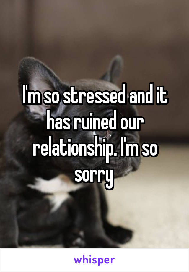 I'm so stressed and it has ruined our relationship. I'm so sorry 