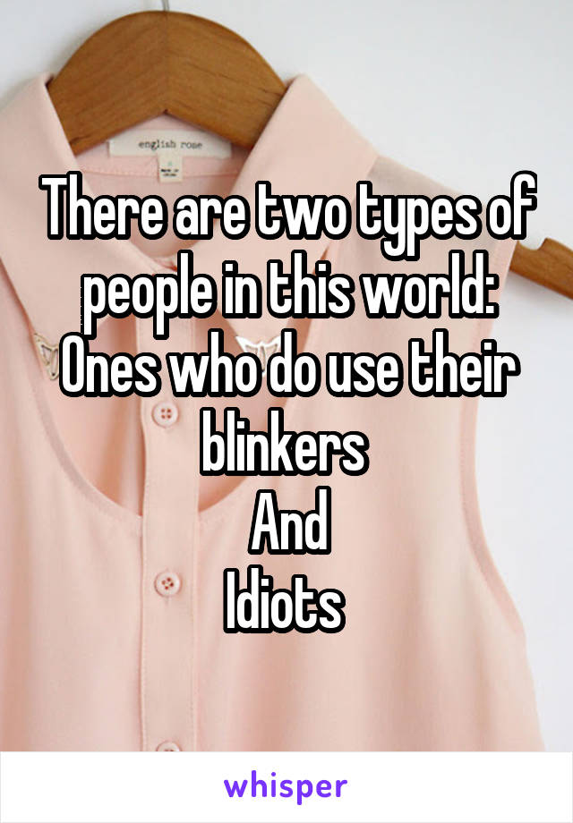 There are two types of people in this world:
Ones who do use their blinkers 
And
Idiots 