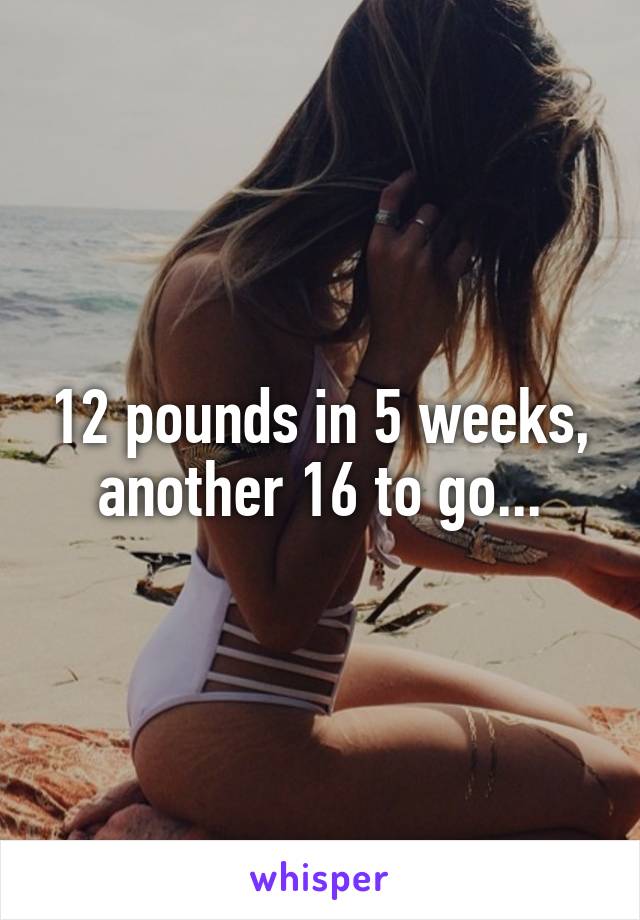 12 pounds in 5 weeks, another 16 to go...