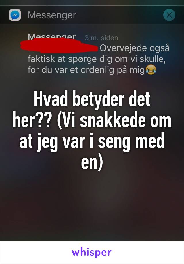 Hvad betyder det her?? (Vi snakkede om at jeg var i seng med en)